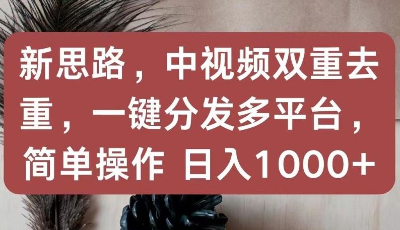 新思路，中视频双重去重，一键分发多平台，简单操作，日入1000+【揭秘】-乐码云集