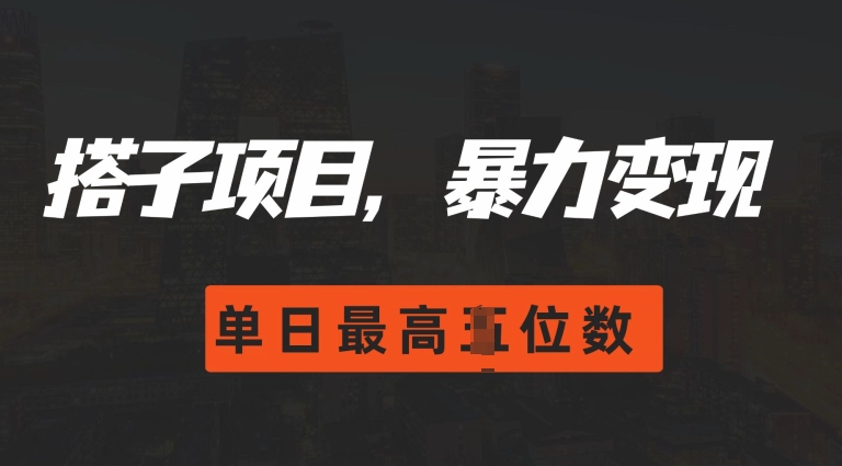 2024搭子玩法，0门槛，暴力变现，单日最高破四位数【揭秘】-乐码云集