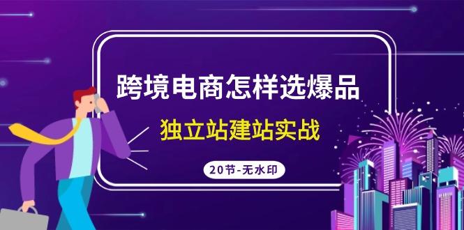 (9369期)跨境电商怎样选爆品，独立站建站实战(20节高清无水印课)-乐码云集