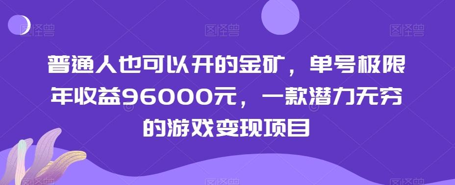 普通人也可以开的金矿，单号极限年收益96000元，一款潜力无穷的游戏变现项目【揭秘】-乐码云集