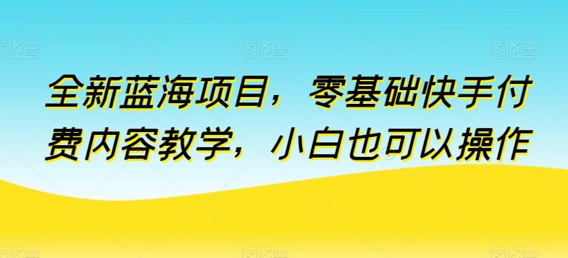 全新蓝海项目，零基础快手付费内容教学，小白也可以操作【揭秘】-乐码云集