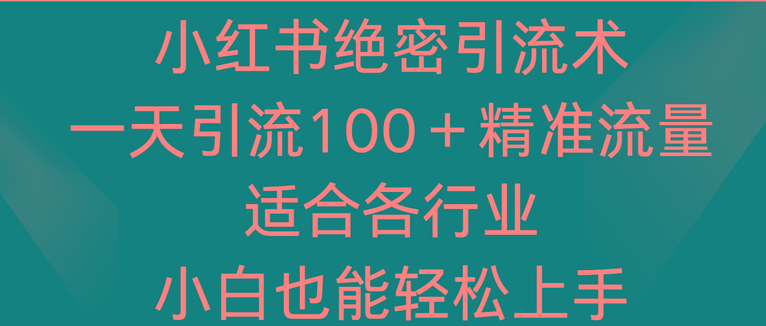 小红书绝密引流术，一天引流100＋精准流量，适合各个行业，小白也能轻松上手-乐码云集