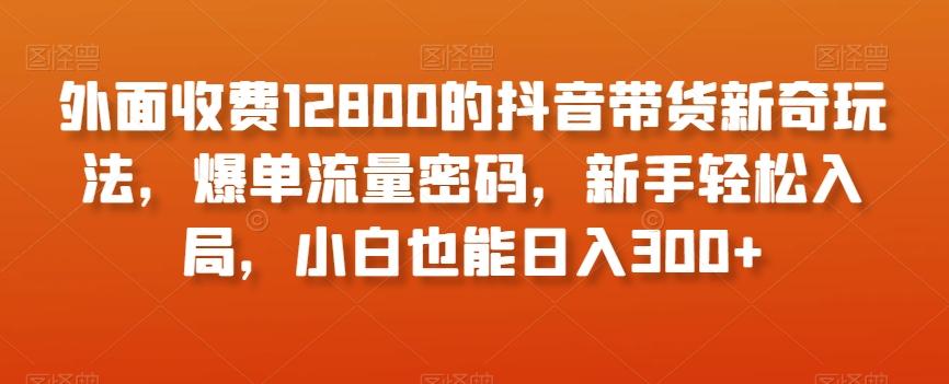 外面收费12800的抖音带货新奇玩法，爆单流量密码，新手轻松入局，小白也能日入300+【揭秘】-乐码云集