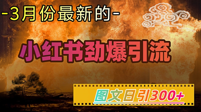 小红书超劲爆引流手段，图文日引300+轻松变现1W-乐码云集