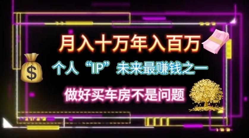个人“ip”月入10w，年入100w-乐码云集