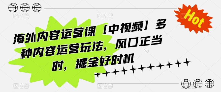 海外内容运营课【中视频】多种内容运营玩法，风口正当时，掘金好时机-乐码云集