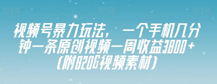 视频号暴力玩法，一个手机几分钟一条原创视频一周收益3800+（附820G视频素材）-乐码云集