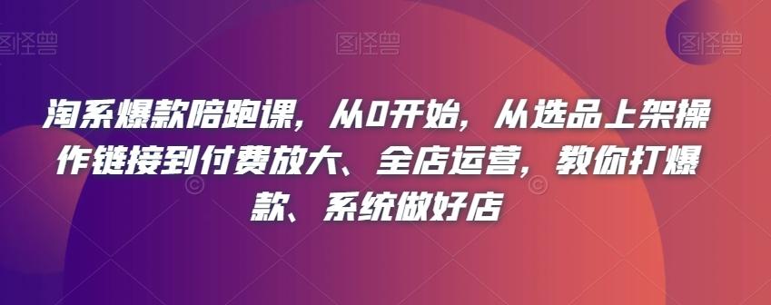 淘系爆款陪跑课，从0开始，从选品上架操作链接到付费放大、全店运营，教你打爆款、系统做好店-乐码云集