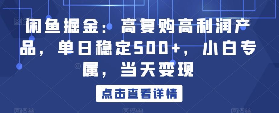 闲鱼掘金：高复购高利润产品，单日稳定500+，小白专属，当天变现-乐码云集