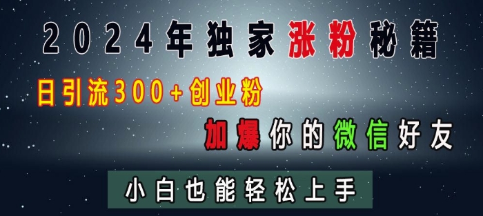 2024年独家涨粉秘籍，日引流300+创业粉，加爆你的微信好友，小白也能轻松上手-乐码云集