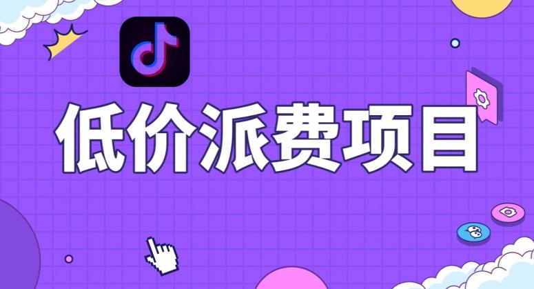 抖音低价派单项目，0门槛，日入1000+很轻松，小白可操作【揭秘】-乐码云集
