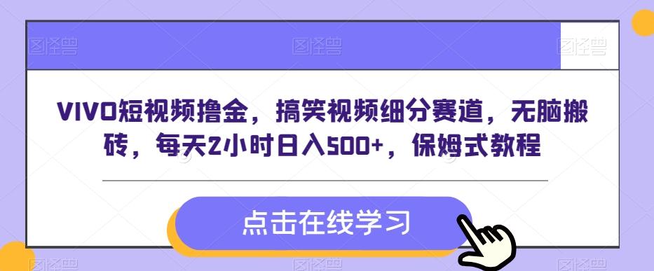 VIVO短视频撸金，搞笑视频细分赛道，无脑搬砖，每天2小时日入500+，保姆式教程-乐码云集