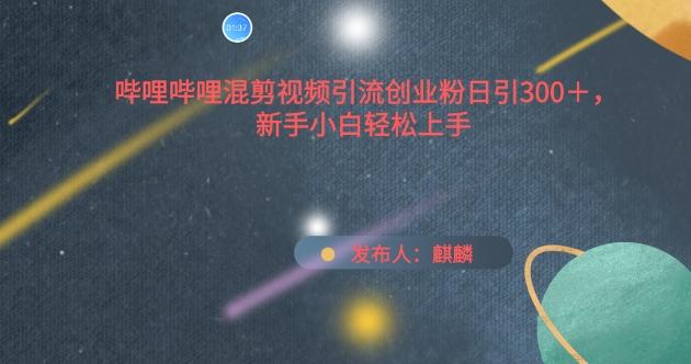 哔哩哔哩混剪视频引流创业粉日引300+，新手小白轻松上手【揭秘】-乐码云集