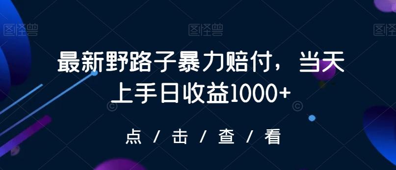 最新野路子暴力赔付，当天上手日收益1000+【仅揭秘】-乐码云集