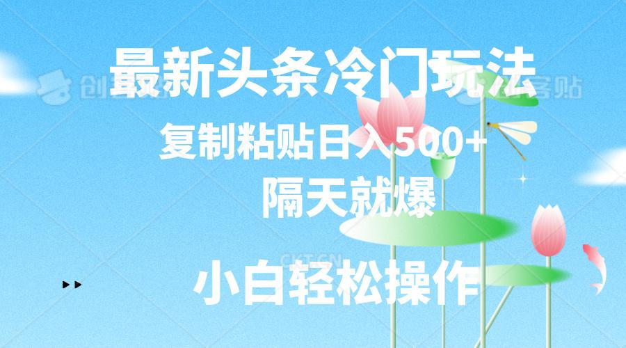 最新头条冷门玩法，隔天就爆，复制粘贴日入500+-乐码云集