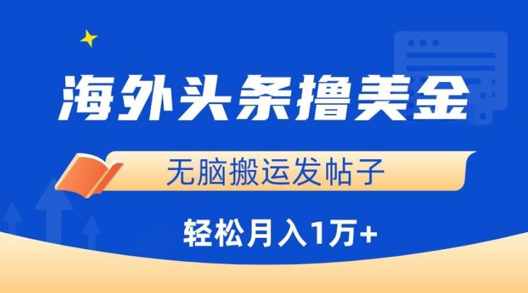 海外头条撸美金，无脑搬运发帖子，月入1万+，小白轻松掌握【揭秘】-乐码云集