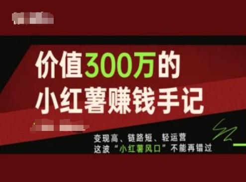 价值300万的小红书赚钱手记，变现高、链路短、轻运营，这波“小红薯风口”不能再错过-乐码云集