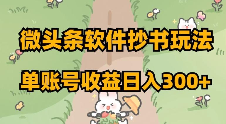 微头条软件抄书玩法，单账号收益日入300+【揭秘】-乐码云集