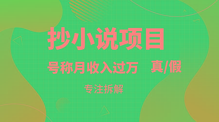 抄小说项目，号称月入过万，到底是否真实，能不能做，详细拆解-乐码云集