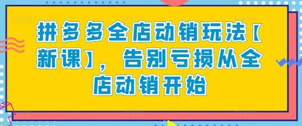拼多多全店动销玩法【新课】，告别亏损从全店动销开始-乐码云集
