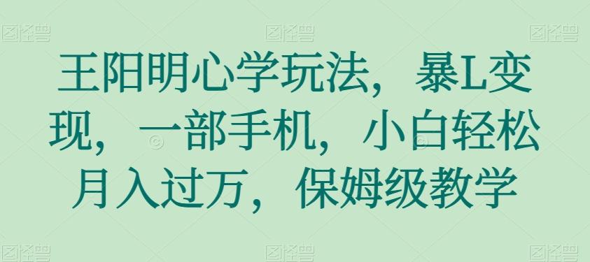 王阳明心学玩法，暴L变现，一部手机，小白轻松月入过万，保姆级教学【揭秘】-乐码云集
