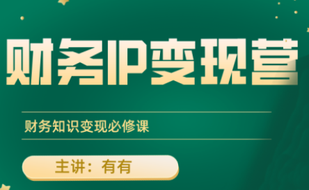 有有老师·财务IP变现营，财务知识变现必修课-乐码云集