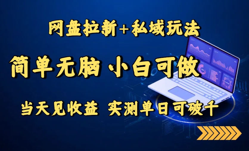 网盘拉新+私域玩法，简单无脑，小白可做，当天见收益，实测单日可破千-乐码云集