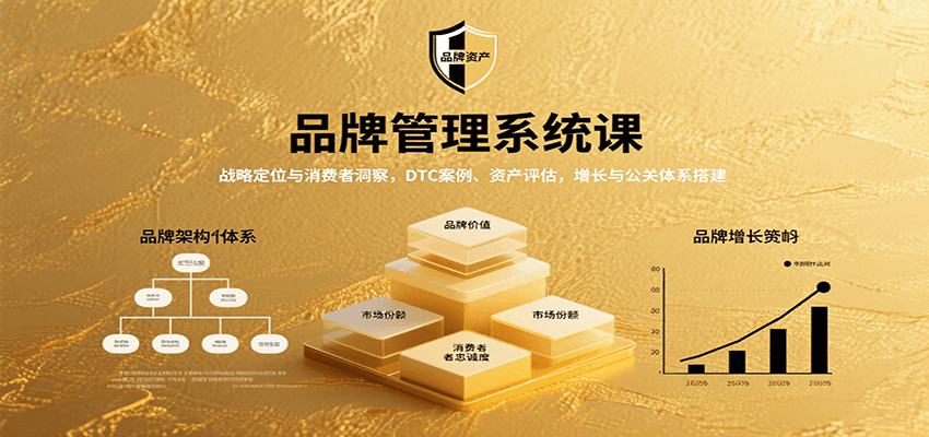 品牌管理系统课:战略定位与消费者洞察,DTC案例、资产评估,增长与公关体系搭建-乐码云集
