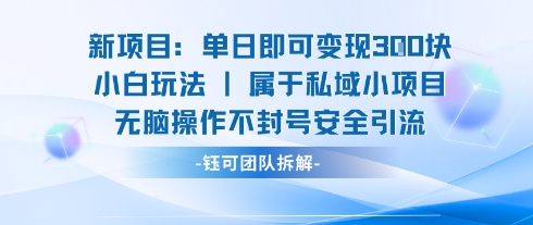 新项目单日即可变现3张的小白玩法无脑操作不封号安全引流-乐码云集