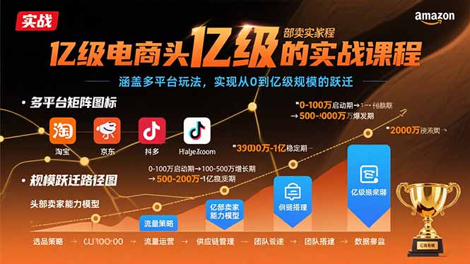 亿级电商头部卖家的实战课程：涵盖多平台玩法，实现从0到亿级规模的跃迁-乐码云集