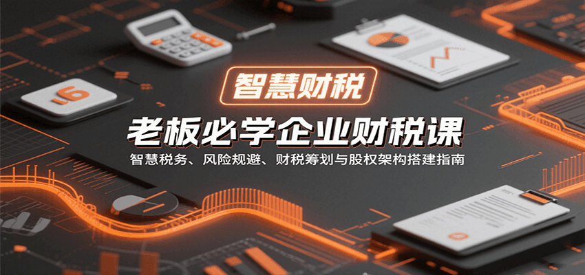老板必学企业财税课：智慧税务、风险规避、财税筹划与股权架构搭建指南-乐码云集