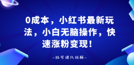 0成本，小红书最新玩法，小白无脑操作，快速涨粉变现-乐码云集