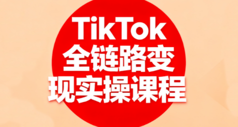 小杨老师·TikTok全链路变现实操课程-乐码云集