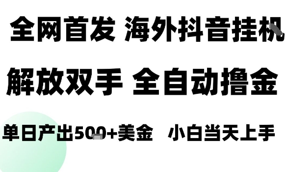 海外抖音无人直播，单日产出1.5k+，长期稳定，新手可玩，无脑操作【揭秘】-乐码云集