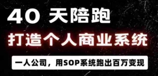 40天陪跑打造个人商业系统,一人公司,用SOP系统跑出百W变现-乐码云集