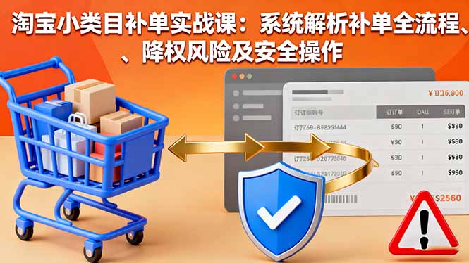 淘宝小类目补单实战课：系统解析补单全流程、降权风险及安全操作-乐码云集