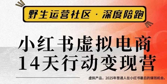 小红书虚拟电商14天变现训练营3.0，​虚拟产品，2025年普通人在小红书最后的搞钱机会-乐码云集