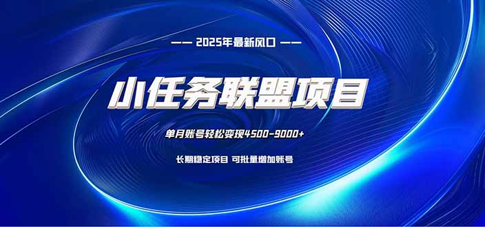 小任务联盟项目：一台电脑每天只需10分钟，轻松简单稳定-乐码云集