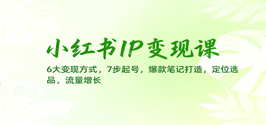 小红书IP变现课:6大变现方式,7步起号,爆款笔记打造,定位选品,流量增长-乐码云集