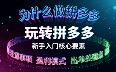 新手小白如何做拼多多-乐码云集
