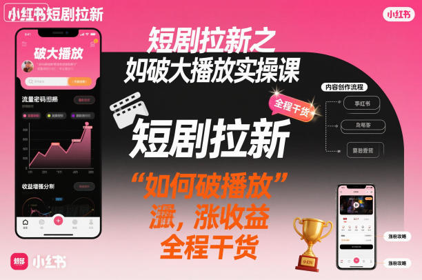 短剧拉新之小红书如何破大播放实操课，如何破播放，涨收益，全程干货-乐码云集
