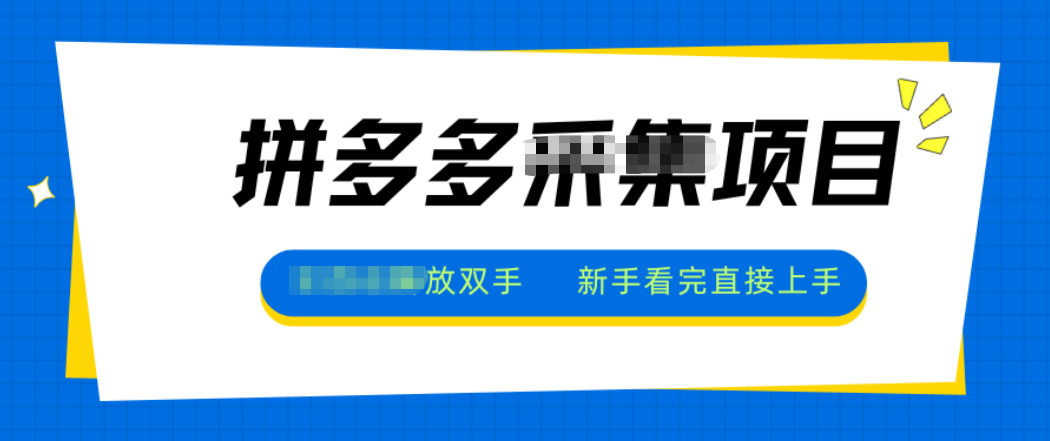 拼多多电商采集，一小时50+，操作简单，零投资-乐码云集