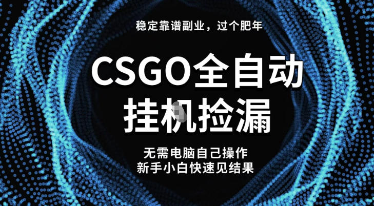 【稳定副业】全球最热门游戏CSGO全自动捡漏，最新玩法，新手小白日入5张+【揭秘】-乐码云集