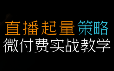 半野老师·直播带货起量与微付费必学课视频号-乐码云集