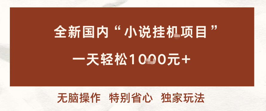 全新国内小说挂G项目，多窗口无脑跑，一天轻松1k+，特别省心【揭秘】-乐码云集