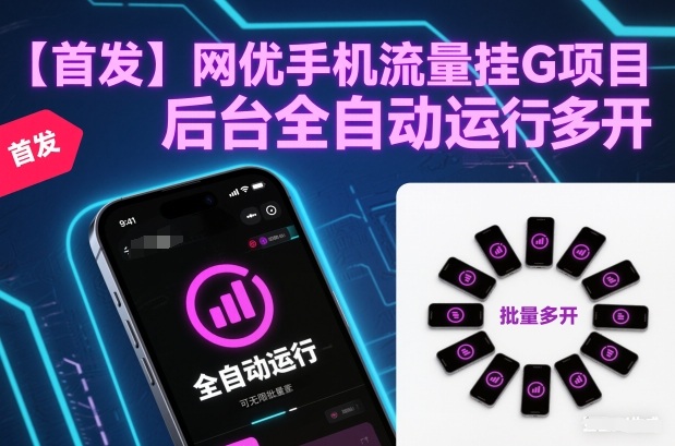 【首发】网优手机流量挂G项目，后台全自动运行，可无限批量多开【揭秘】-乐码云集