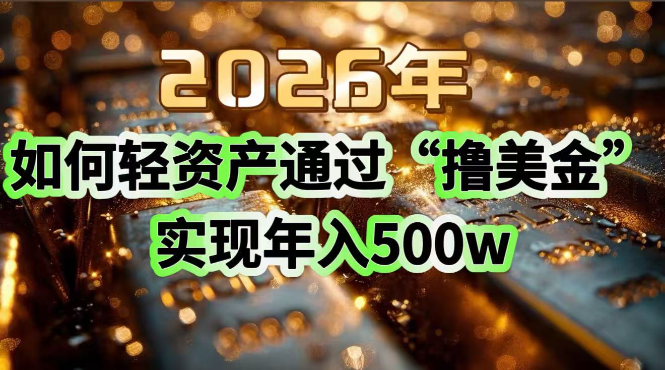 2026年如何轻资产通过“撸美金”实现年入500w-乐码云集