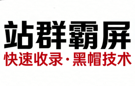SEO野路子实战全集：快速收录、站群霸屏、黑帽技术-乐码云集