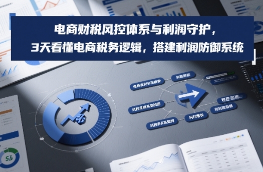 电商财税风控体系与利润守护，3天看懂电商税务逻辑，搭建利润防御系统-乐码云集