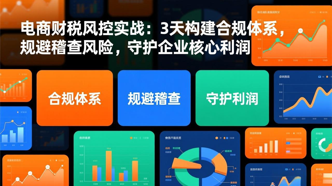 电商财税风控实战：3天构建合规体系，规避稽查风险，守护企业核心利润-乐码云集